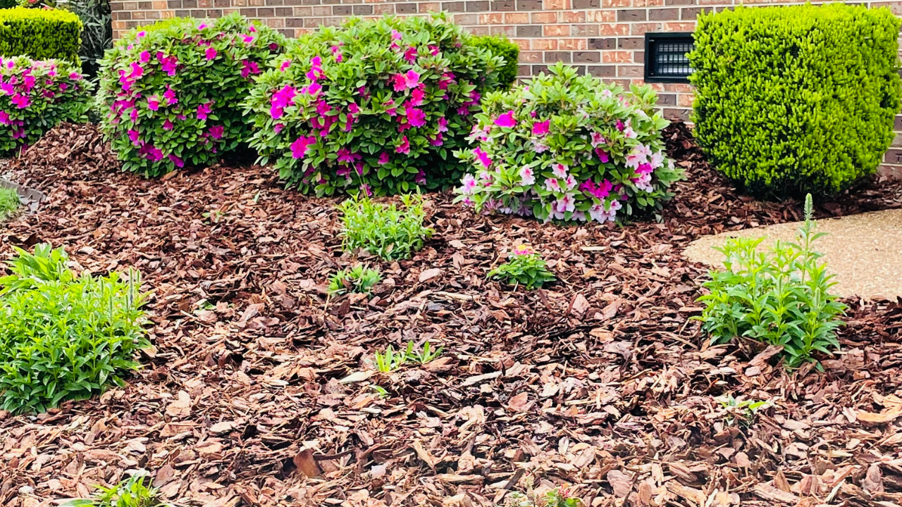Greenway Turf Solutions (1)